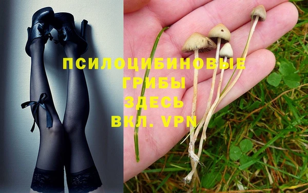 винт Осташков