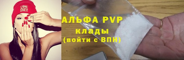 mdpv Бородино