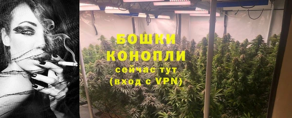 винт Осташков
