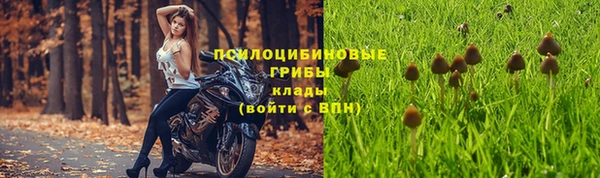 прущие крисы Ветлуга